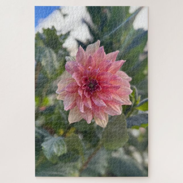 Quebra-cabeça Dália Rosa, Palo Alto (Vertical)