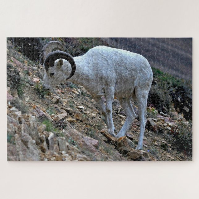 Quebra-cabeça Dall Sheep em uma colina (Horizontal)