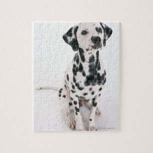Quebra-cabeça Dalmatian