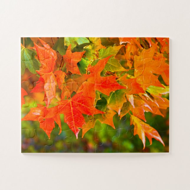 Quebra-cabeça Dança Folha de Maple (Horizontal)