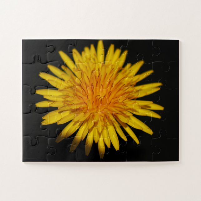 Quebra-cabeça Dandelion Flower 11x14 jpcnm 30pc (Horizontal)