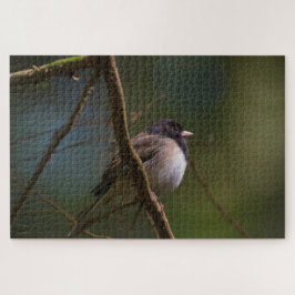 Quebra-cabeça Dark Eyed Junco