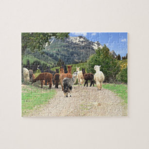 Quebra-cabeça das alpacas