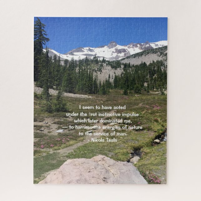 Quebra-cabeça das citações de Tesla 520 partes (Vertical)