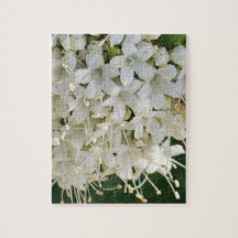 Quebra-cabeça das Flores Doces da Montanha