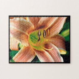Quebra-cabeça Daylily Macro