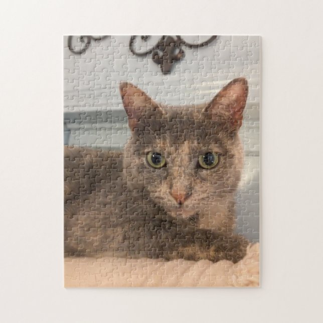 quebra-cabeça de 252 peças (Vertical)