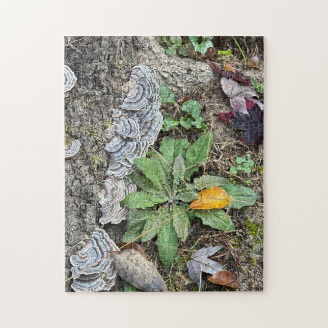 quebra-cabeça de 252 peças (Vertical)