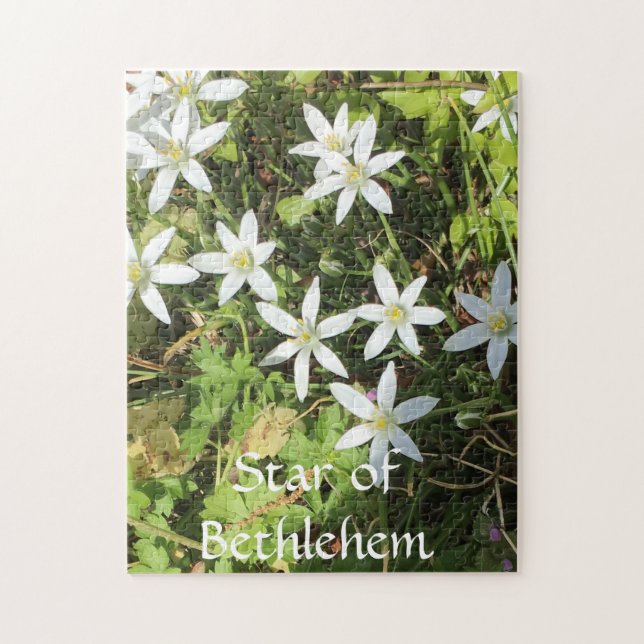 quebra-cabeça de 252 peças (Vertical)