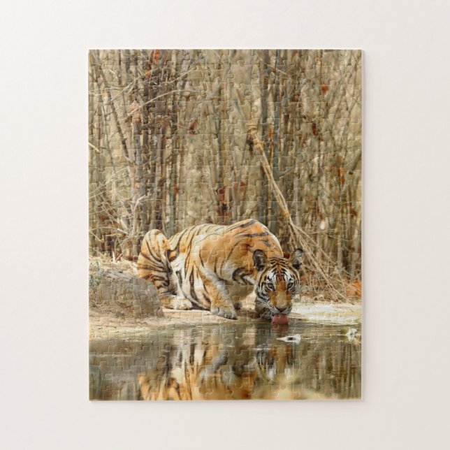 QUEBRA-CABEÇA DE ÁGUA DO BEBENDO TIGRE (Vertical)