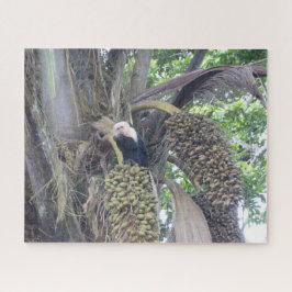 Quebra-cabeça de animais selvagens: macaco-prego b
