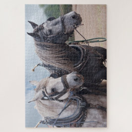 quebra-cabeça de arado de dois percheron