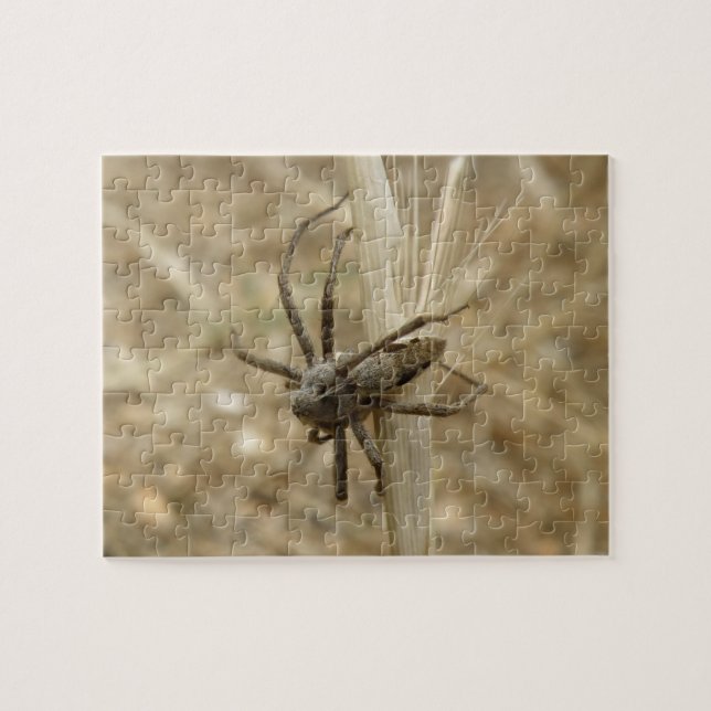 Quebra-cabeça de Aranha Crawly (Horizontal)