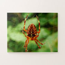 Quebra-cabeça de aranha para crianças