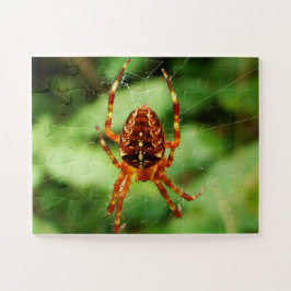 Quebra-cabeça de aranha para crianças