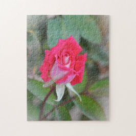 Quebra-cabeça de Arte do Jardim de Rosa Rosa bonit