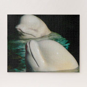 Quebra-cabeça de Baleias Beluga