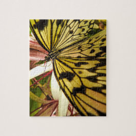 Quebra-cabeça de borboleta