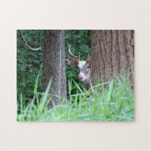 quebra-cabeça de Buck Piebald