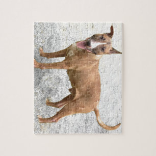 Quebra-cabeça de bull terrier do inglês