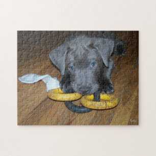Quebra-cabeça de Cachorro Labrabull