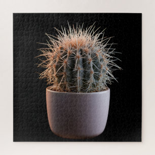 Quebra-cabeça de Cactus