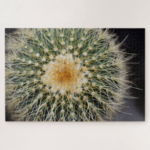 Quebra-cabeça de Cactus Jigsee