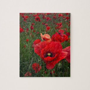 Quebra-cabeça de Campo de Poppy/Quebra-cabeça de