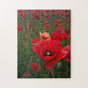 Quebra-cabeça de Campo de Poppy/Quebra-cabeça de