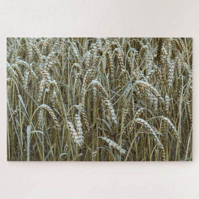 Quebra-cabeça de campo de trigo (Horizontal)