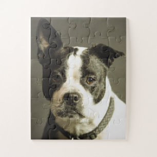 QUEBRA-CABEÇA DE CÃO, PRETO E CÃO BRANCO