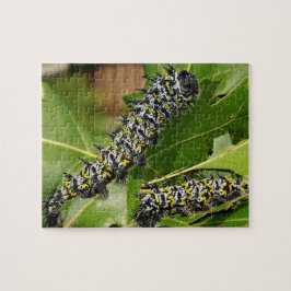 Quebra-cabeça de CaterPilar Jigsera