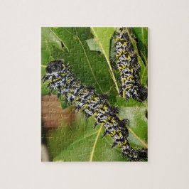 Quebra-cabeça de CaterPilar Jigsera