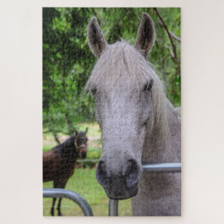 Quebra-cabeça de Cavalo