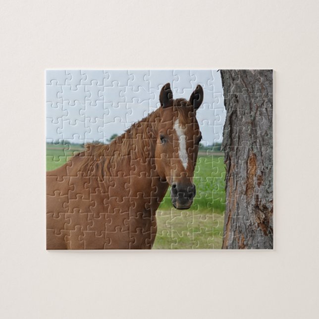Quebra-cabeça de Cavalo (Horizontal)