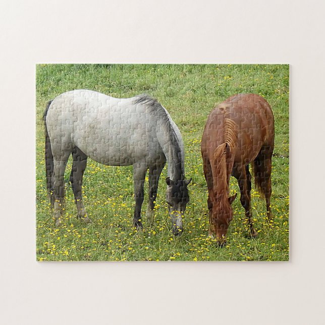 Quebra-cabeça de Cavalos do Welsh Cobs (Horizontal)