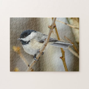 Quebra-cabeça de Chickadee Preto