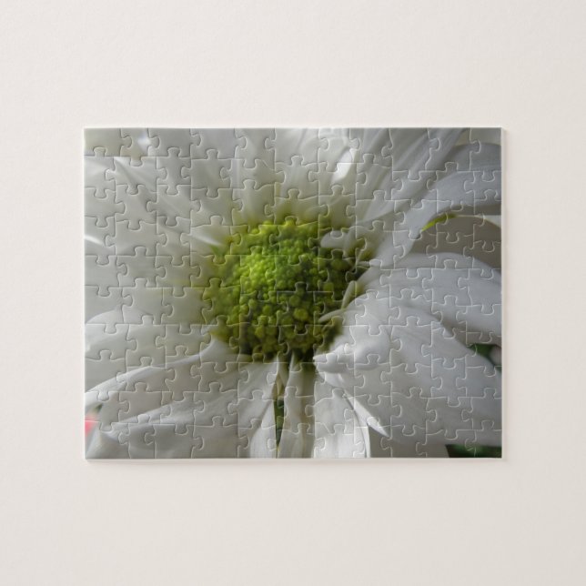 Quebra-cabeça de Chrysanthemum Branco (Horizontal)