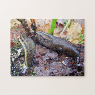 Quebra-cabeça De cinza-Cinzento da foto do Slug
