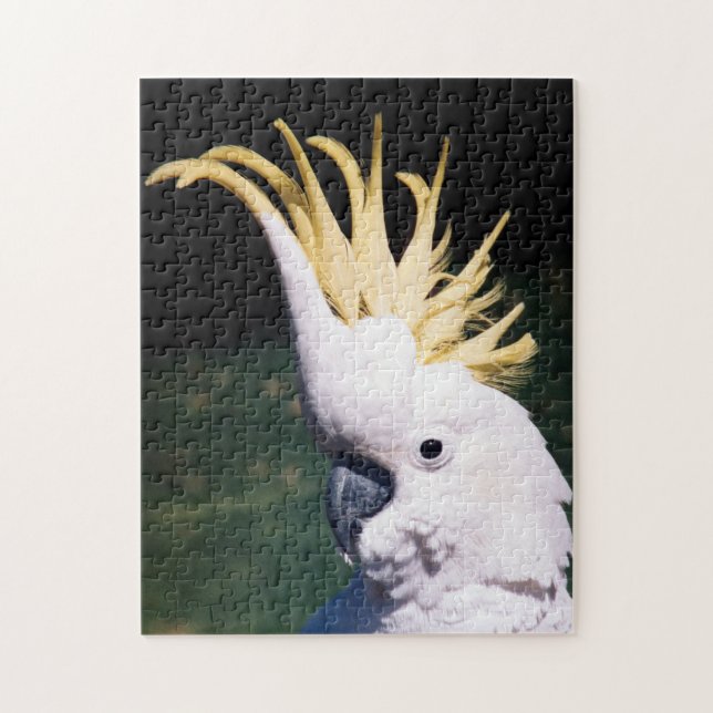 Quebra-cabeça de Cockatoo com creme de enxofre (Vertical)