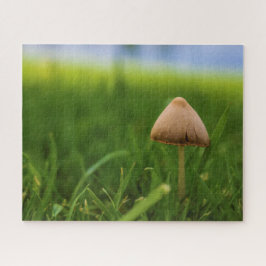 Quebra-cabeça de cogumelo muito desafiador