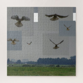 Quebra-cabeça de Colagem: Eemnes Polder BIRD OF PR