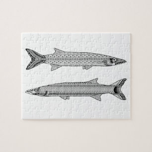 Quebra-cabeça de Coloração de Peixes Barracuda