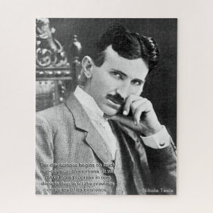 Quebra-cabeça de Cota Tesla (520 peças)