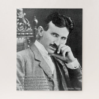 Quebra-cabeça de Cota Tesla (520 peças)