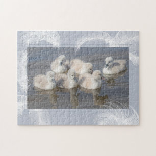 Quebra-cabeça de Cygnets & Feathers
