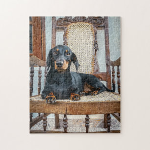 quebra-cabeça de Dachshund