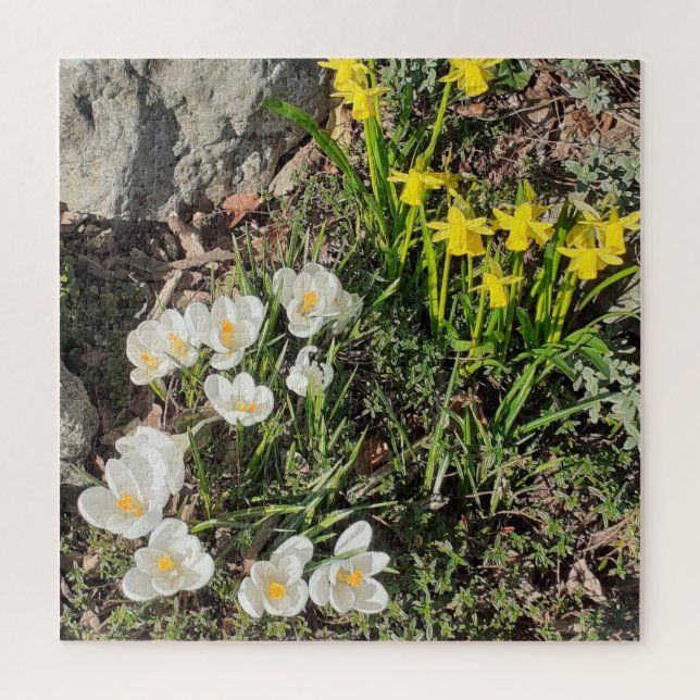 Quebra-cabeça de Daffodils & Crocus Jigsee (Vertical)