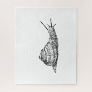 Quebra-cabeça de desenho de caracóis brancos e pre