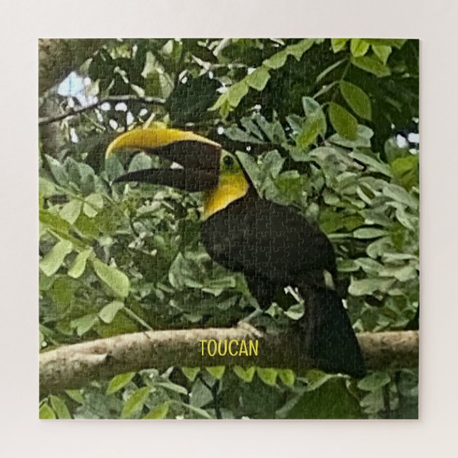 Quebra-cabeça de Design da Costa Rica com Throated (Vertical)